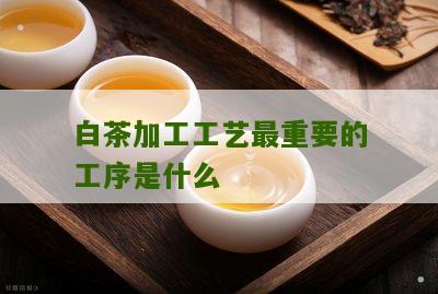 白茶加工工艺最重要的工序是什么