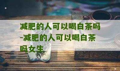 减肥的人可以喝白茶吗-减肥的人可以喝白茶吗女生