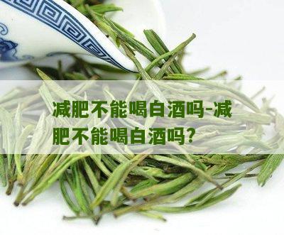 减肥不能喝白酒吗-减肥不能喝白酒吗?