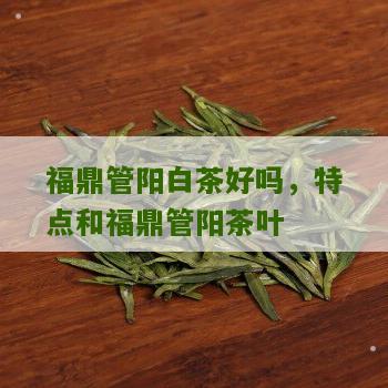 福鼎管阳白茶好吗，特点和福鼎管阳茶叶