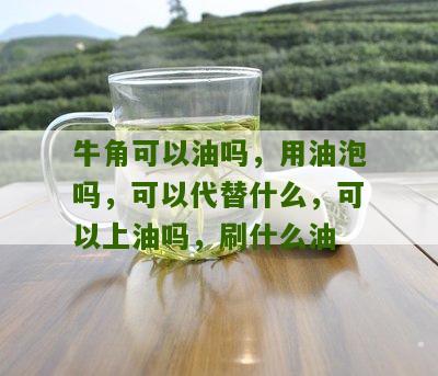 牛角可以油吗，用油泡吗，可以代替什么，可以上油吗，刷什么油