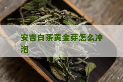 安吉白茶黄金芽怎么冲泡