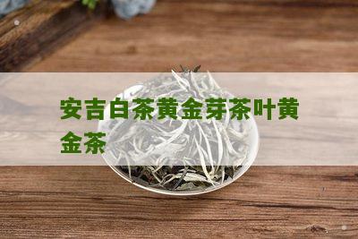 安吉白茶黄金芽茶叶黄金茶