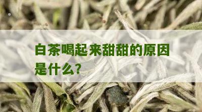 白茶喝起来甜甜的原因是什么？