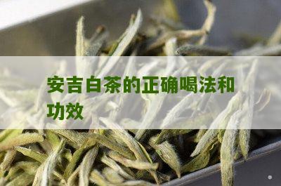 安吉白茶的正确喝法和功效