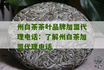 州白茶茶叶品牌加盟代理电话：了解州白茶加盟代理电话