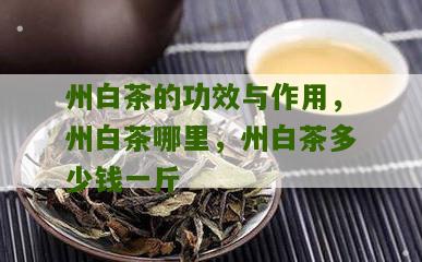 州白茶的功效与作用，州白茶哪里，州白茶多少钱一斤