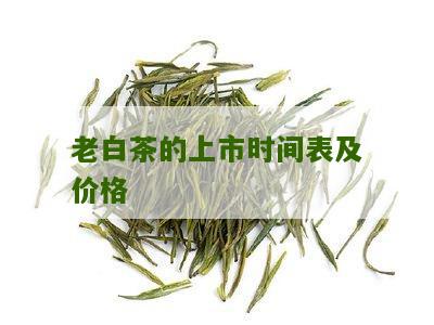 老白茶的上市时间表及价格