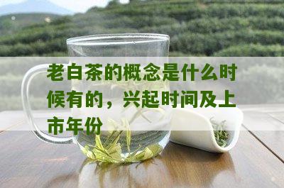 老白茶的概念是什么时候有的，兴起时间及上市年份