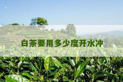 白茶要用多少度开水冲