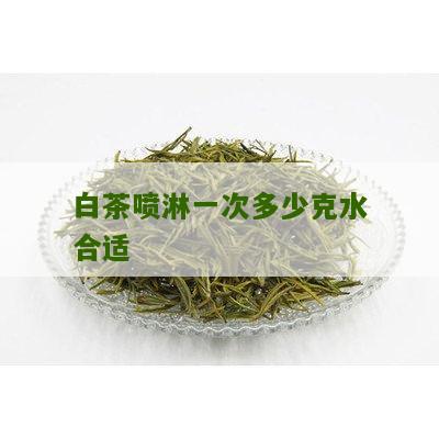 白茶喷淋一次多少克水合适