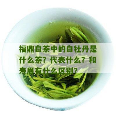 福鼎白茶中的白牡丹是什么茶？代表什么？和寿眉有什么区别？