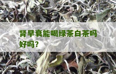 肾早衰能喝绿茶白茶吗好吗？