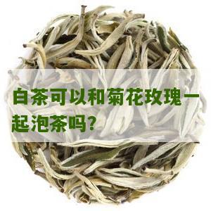 白茶可以和菊花玫瑰一起泡茶吗？