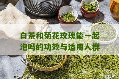 白茶和菊花玫瑰能一起泡吗的功效与适用人群