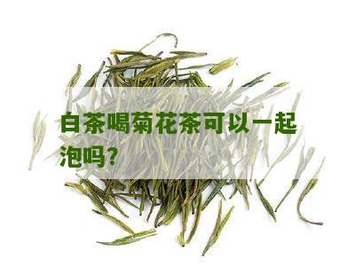 白茶喝菊花茶可以一起泡吗？