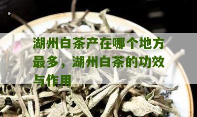 湖州白茶产在哪个地方最多，湖州白茶的功效与作用