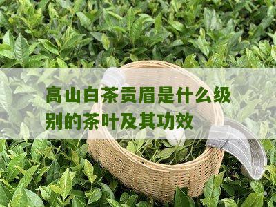 高山白茶贡眉是什么级别的茶叶及其功效