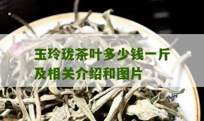 玉玲珑茶叶多少钱一斤及相关介绍和图片