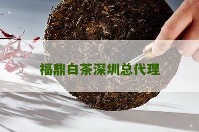 福鼎白茶深圳总代理