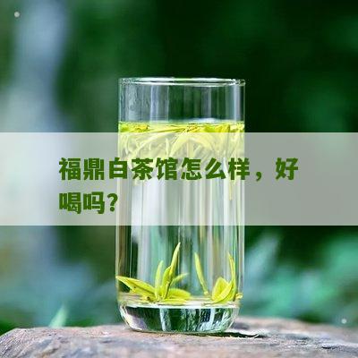 福鼎白茶馆怎么样，好喝吗？