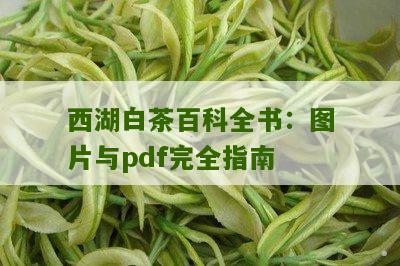 西湖白茶百科全书：图片与pdf完全指南