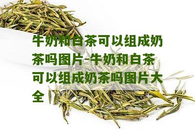 牛奶和白茶可以组成奶茶吗图片-牛奶和白茶可以组成奶茶吗图片大全