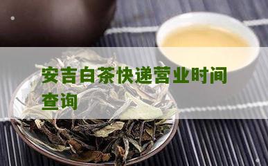 安吉白茶快递营业时间查询