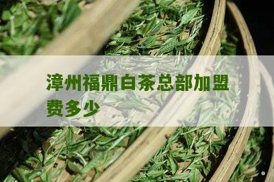 漳州福鼎白茶总部加盟费多少