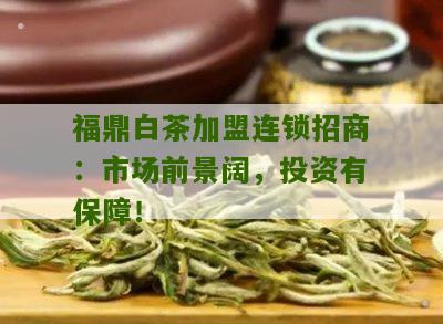 福鼎白茶加盟连锁招商：市场前景阔，投资有保障！