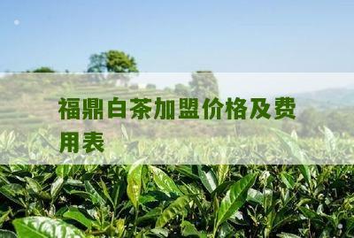 福鼎白茶加盟价格及费用表