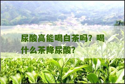 尿酸高能喝白茶吗？喝什么茶降尿酸？