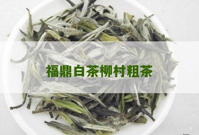 福鼎白茶柳村粗茶