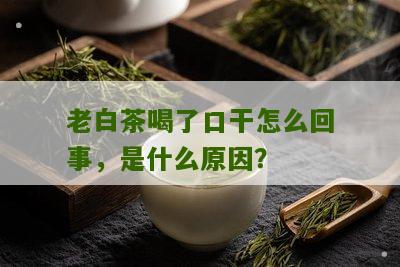 老白茶喝了口干怎么回事，是什么原因？