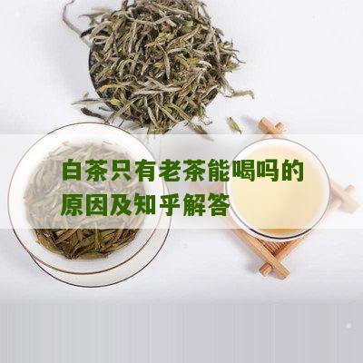 白茶只有老茶能喝吗的原因及知乎解答