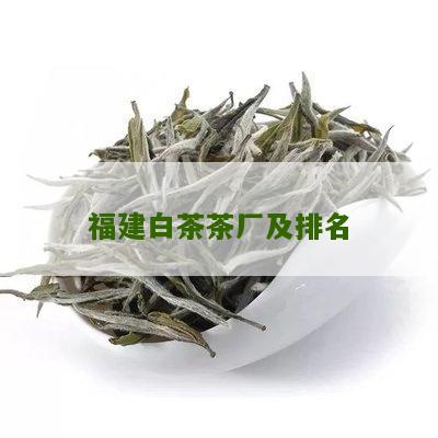 福建白茶茶厂及排名