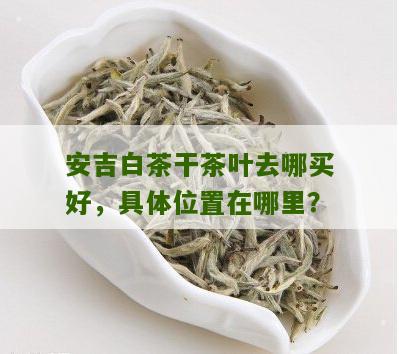 安吉白茶干茶叶去哪买好，具体位置在哪里？