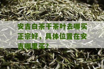 安吉白茶干茶叶去哪买正宗好，具体位置在安吉哪里买？