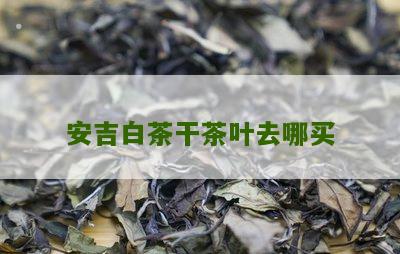 安吉白茶干茶叶去哪买