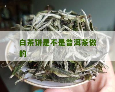 白茶饼是不是普洱茶做的