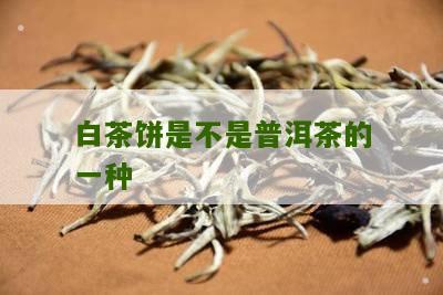 白茶饼是不是普洱茶的一种