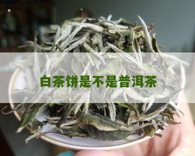 白茶饼是不是普洱茶