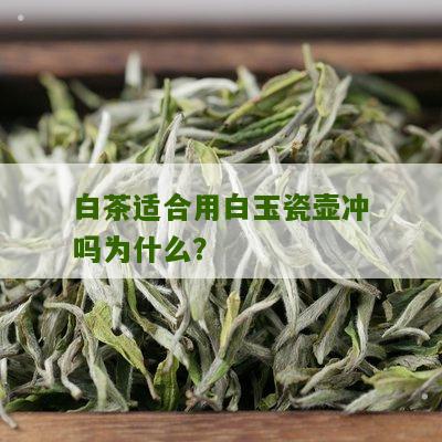 白茶适合用白玉瓷壶冲吗为什么？