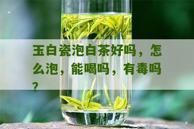 玉白瓷泡白茶好吗，怎么泡，能喝吗，有毒吗？