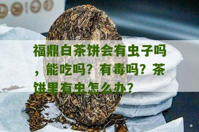 福鼎白茶饼会有虫子吗，能吃吗？有毒吗？茶饼里有虫怎么办？