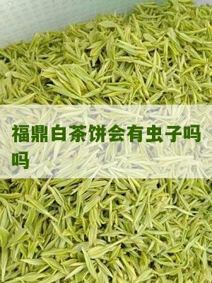 福鼎白茶饼会有虫子吗吗