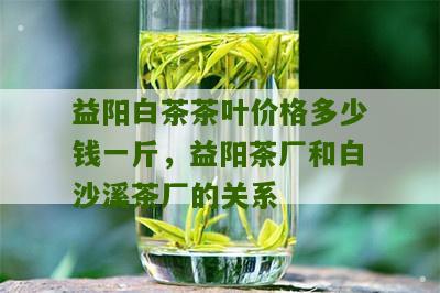 益阳白茶茶叶价格多少钱一斤，益阳茶厂和白沙溪茶厂的关系