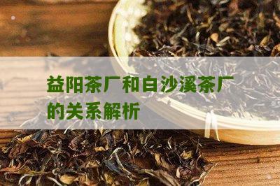 益阳茶厂和白沙溪茶厂的关系解析