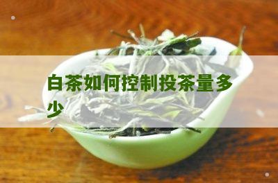 白茶如何控制投茶量多少