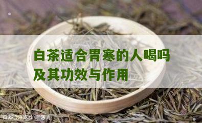 白茶适合胃寒的人喝吗及其功效与作用